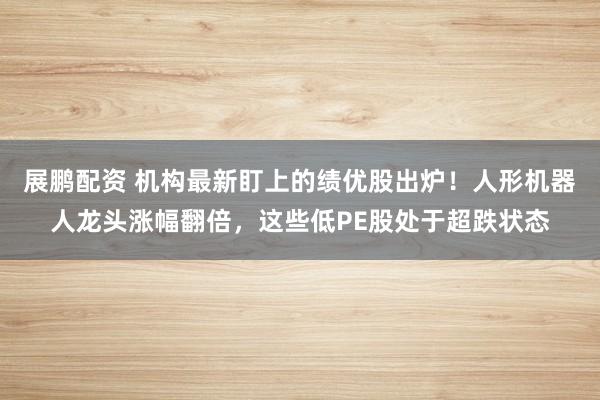 展鹏配资 机构最新盯上的绩优股出炉！人形机器人龙头涨幅翻倍，这些低PE股处于超跌状态