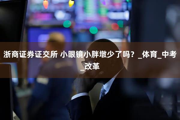 浙商证券证交所 小眼镜小胖墩少了吗？_体育_中考_改革