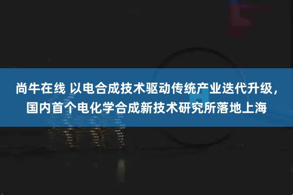 尚牛在线 以电合成技术驱动传统产业迭代升级，国内首个电化学合成新技术研究所落地上海
